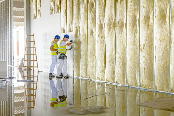 Best Garage Insulation  in Winnsboro, SC